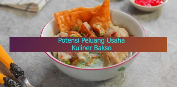 peluang usaha bakso