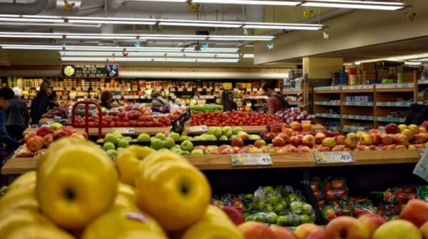 peluang usaha buah segar