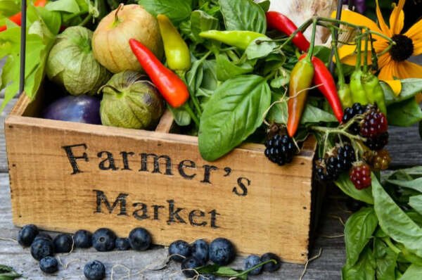 ide usaha di kampung 