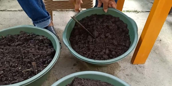 jenis jenis pupuk organik