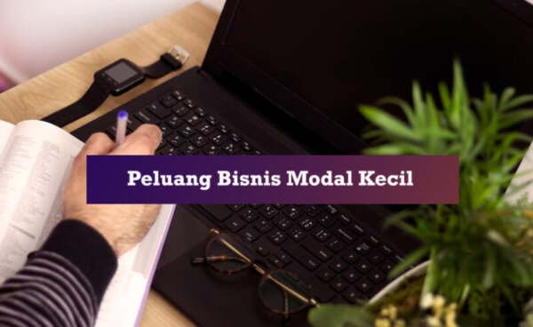 peluang bisnis modal kecil