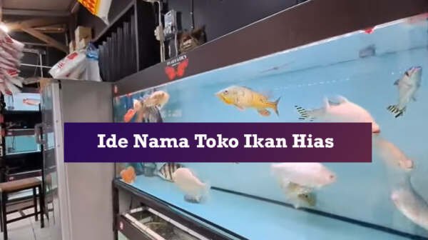 ide nama toko ikan hias