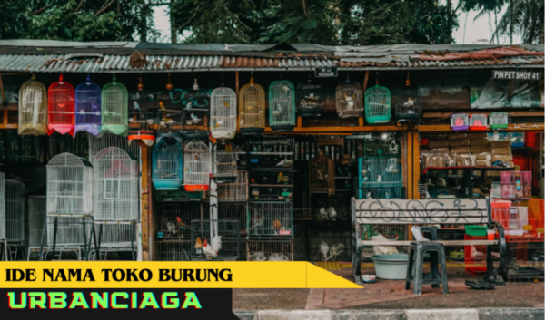 ide nama toko burung