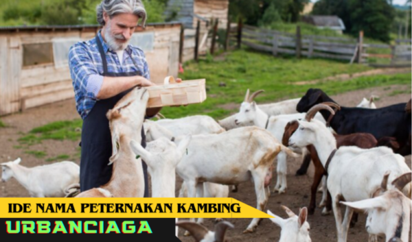 ide nama peternakan kambing