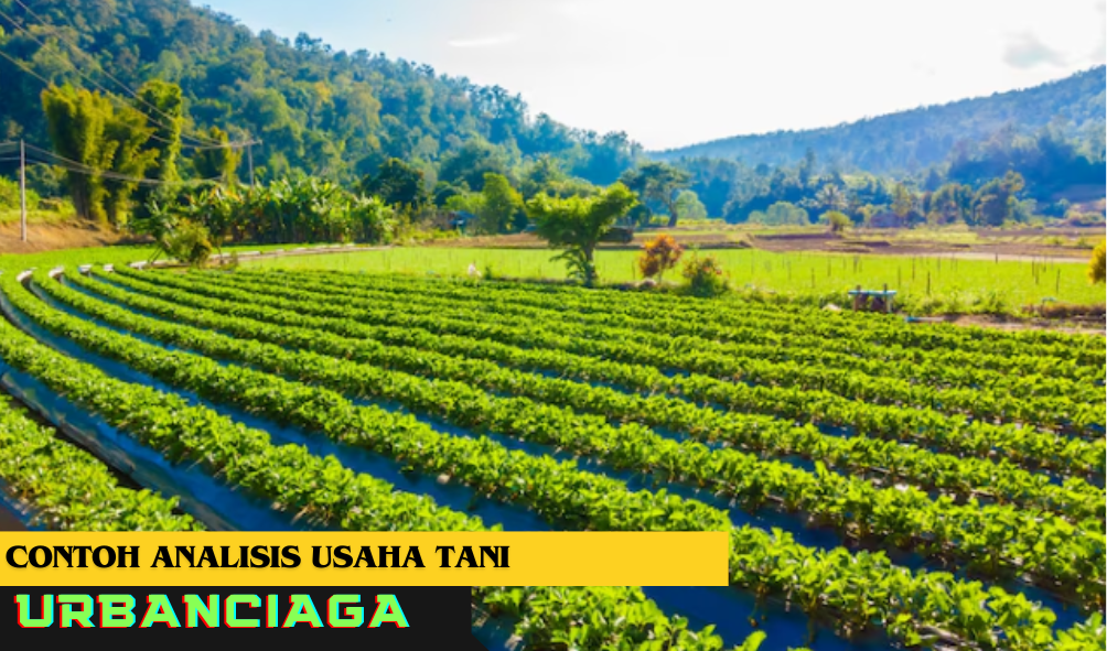 Contoh Analisis Usaha Tani