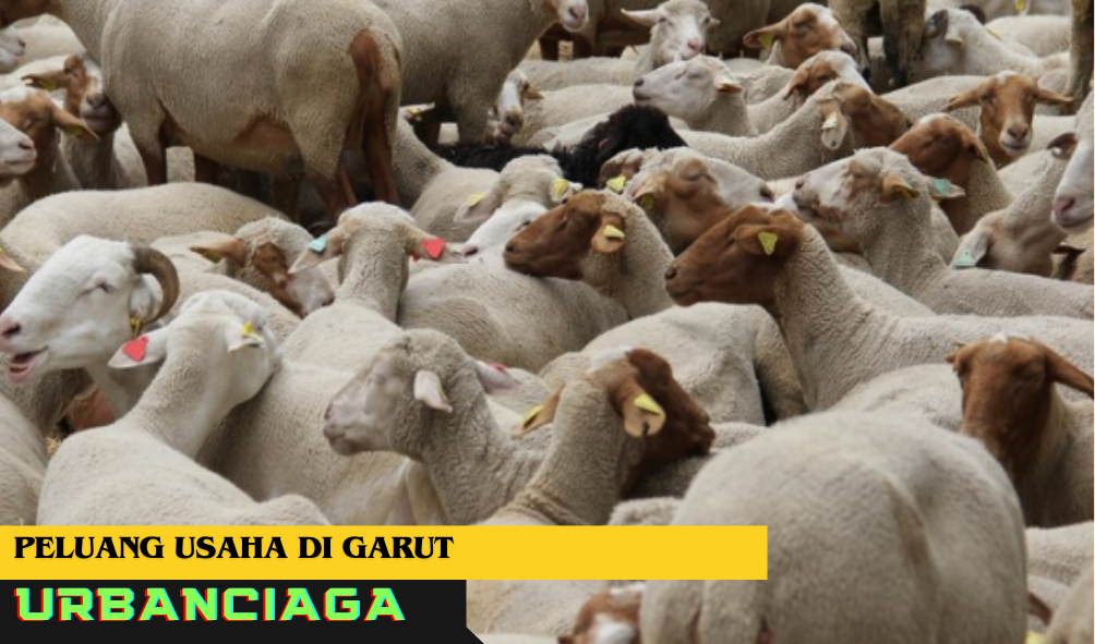 Peluang Usaha di Garut