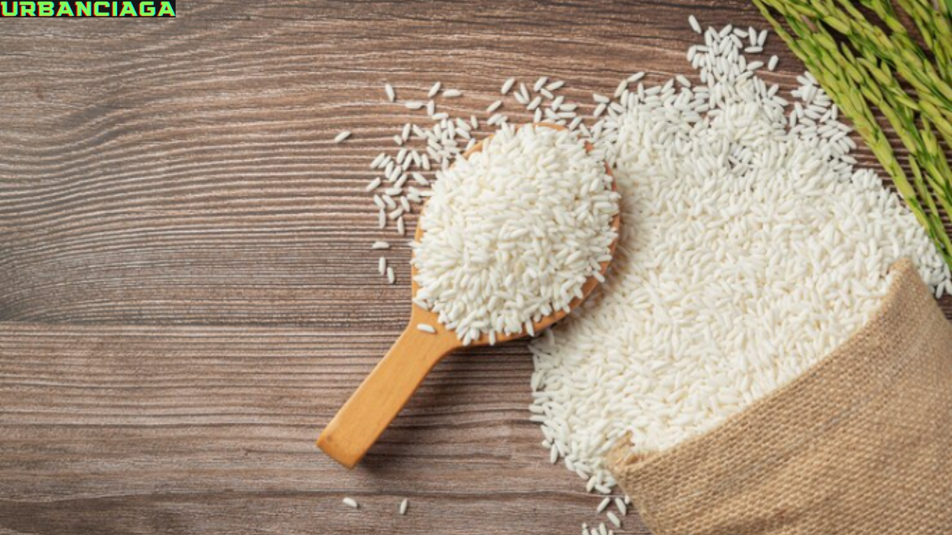 Ide Nama Brand Beras