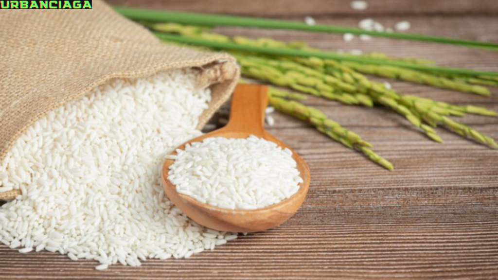 Ide Nama Brand Beras