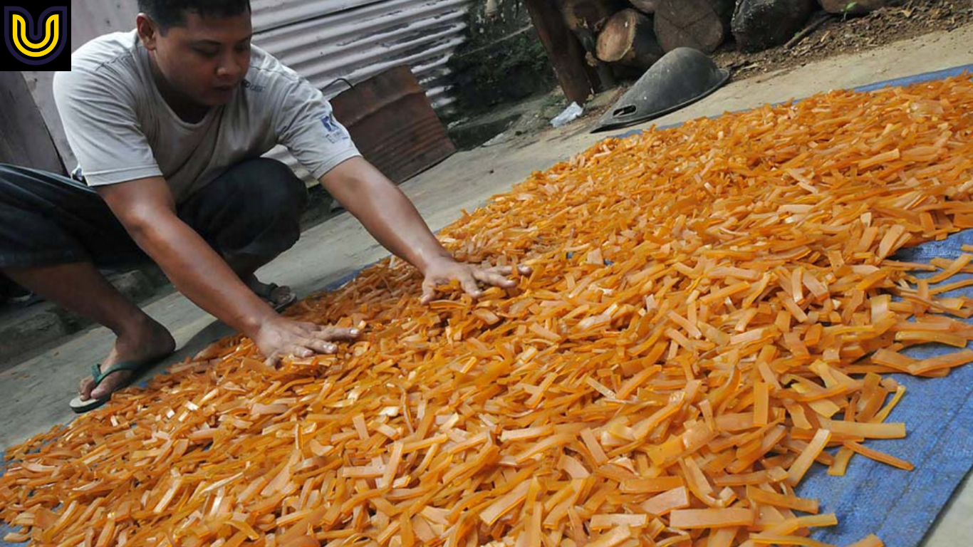 Usaha Kerupuk Rumahan