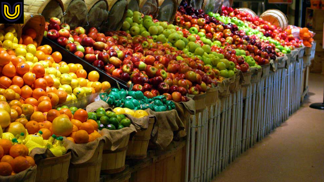 Modal Usaha Buah-Buahan