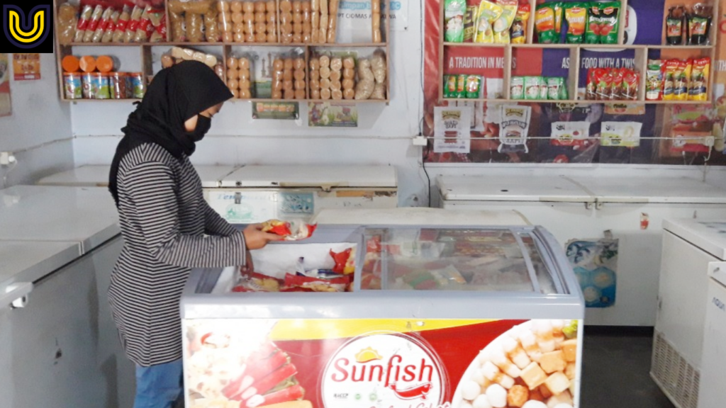 usaha frozen food rumahan