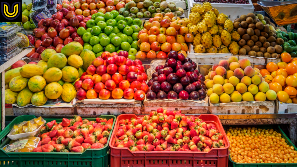 Modal Usaha Buah-Buahan