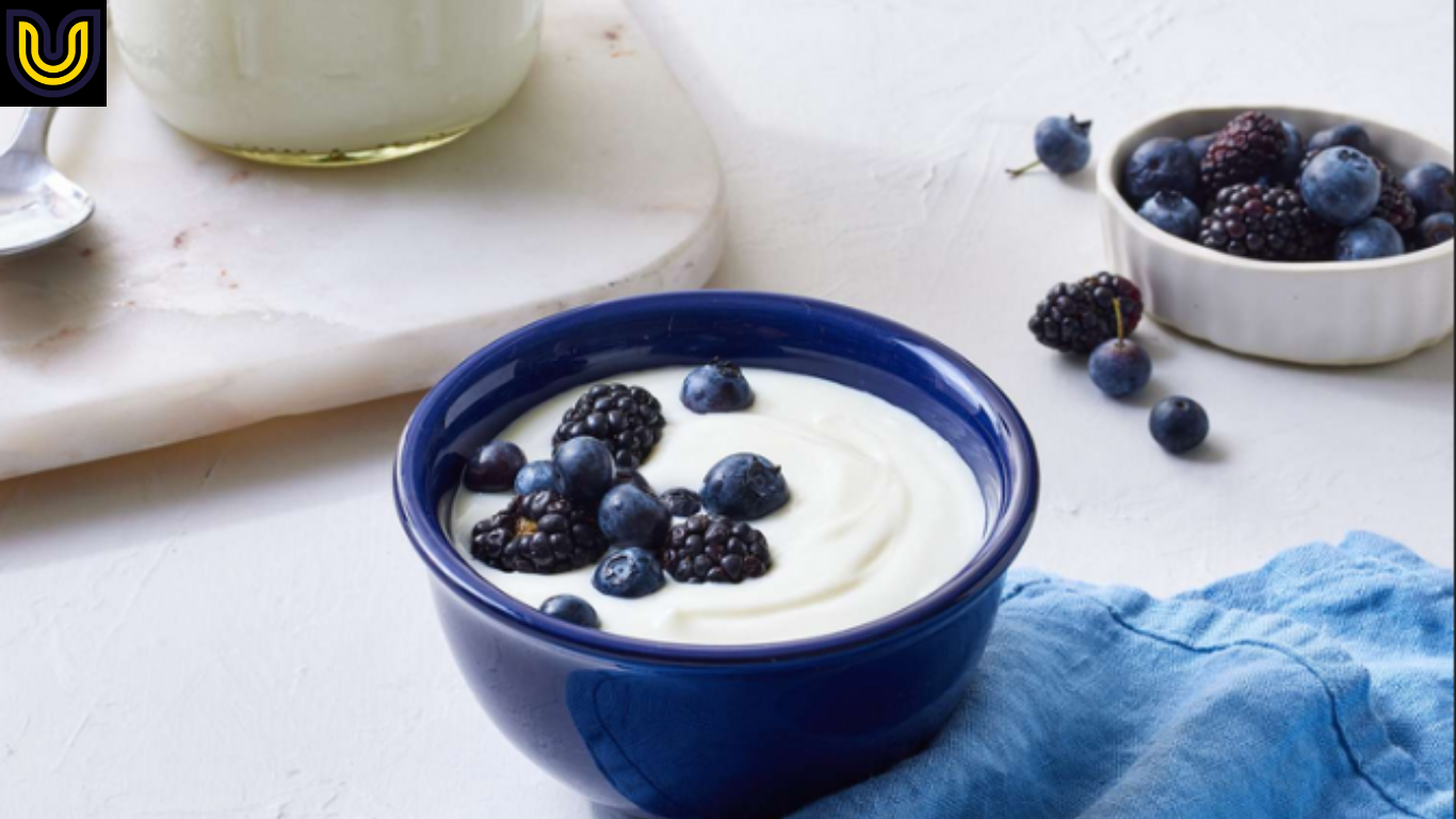 Ide Nama Brand Yogurt